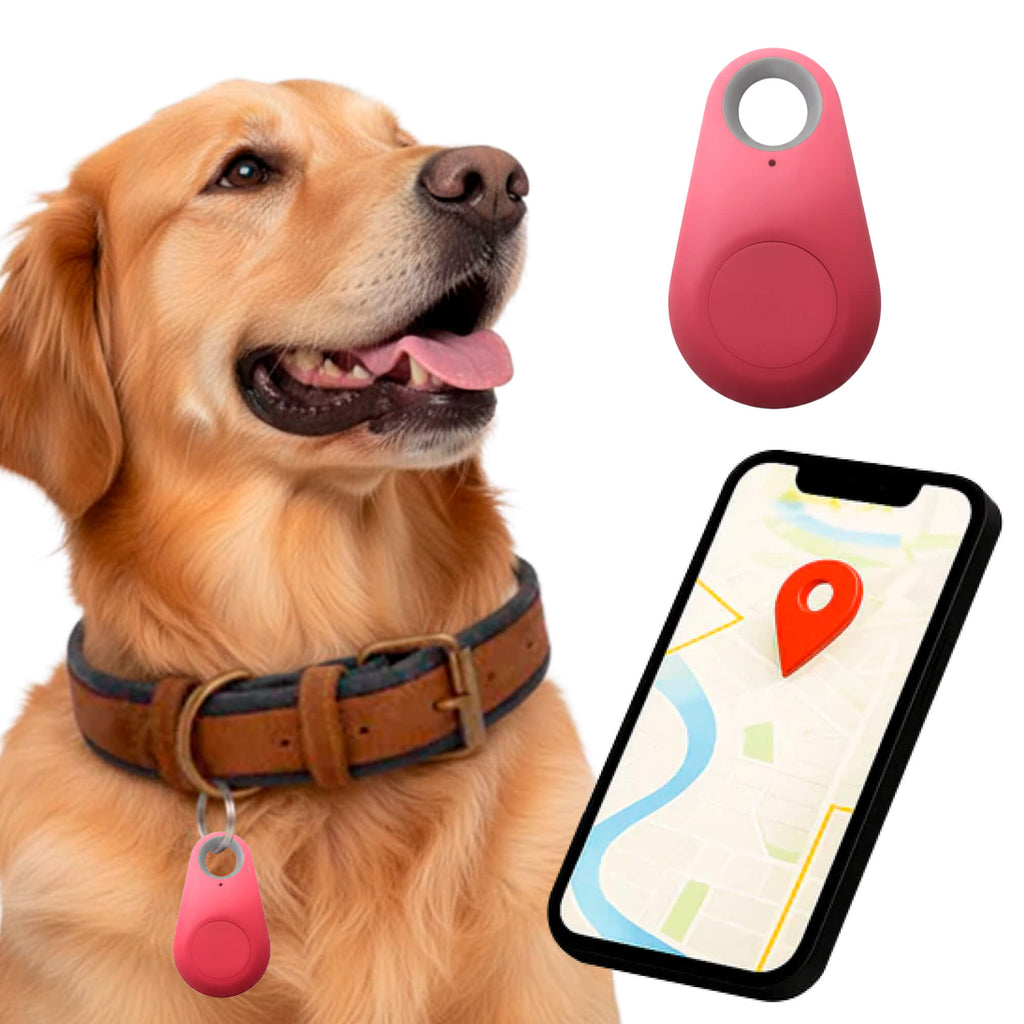 Tracker GPS per Cani Kirra Impermeabile con Aggiornamenti di Posizione in Tempo Reale
