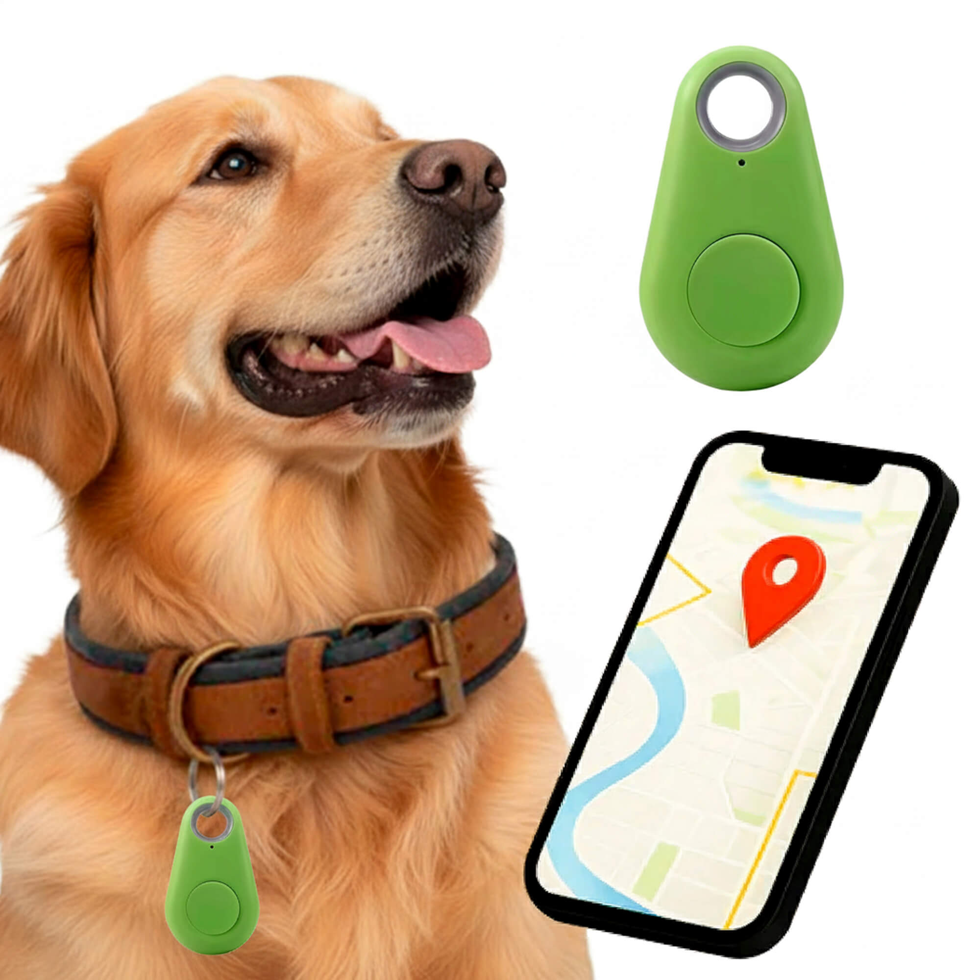 Tracker GPS per Cani Kirra Impermeabile con Aggiornamenti di Posizione in Tempo Reale