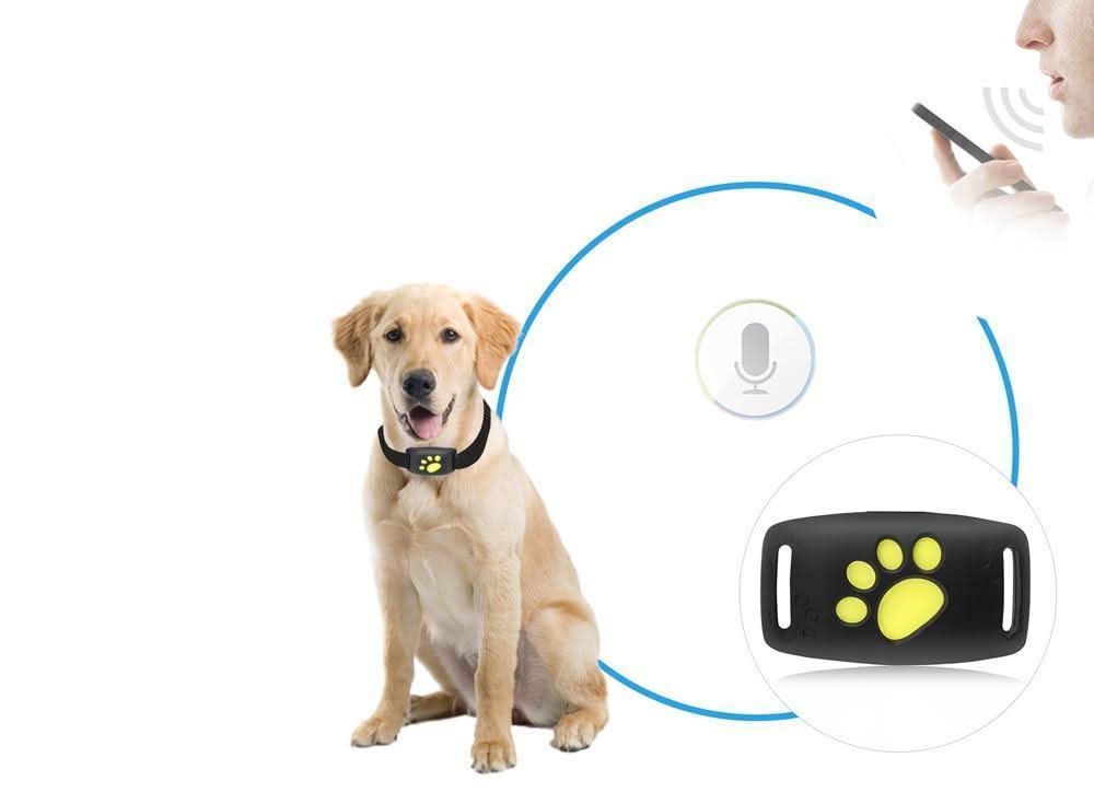 Tracker GPS per Gatti – Localizzazione in Tempo Reale senza Abbonamento