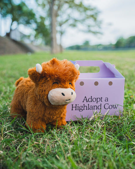 Il Peluche della Mucca delle Highlands - Un Regalo Fantastico