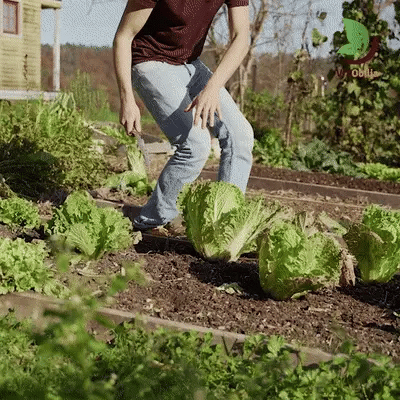Coltello da Giardino Hori Hori con Lama Resistente alla Ruggine per Lavori in Giardino