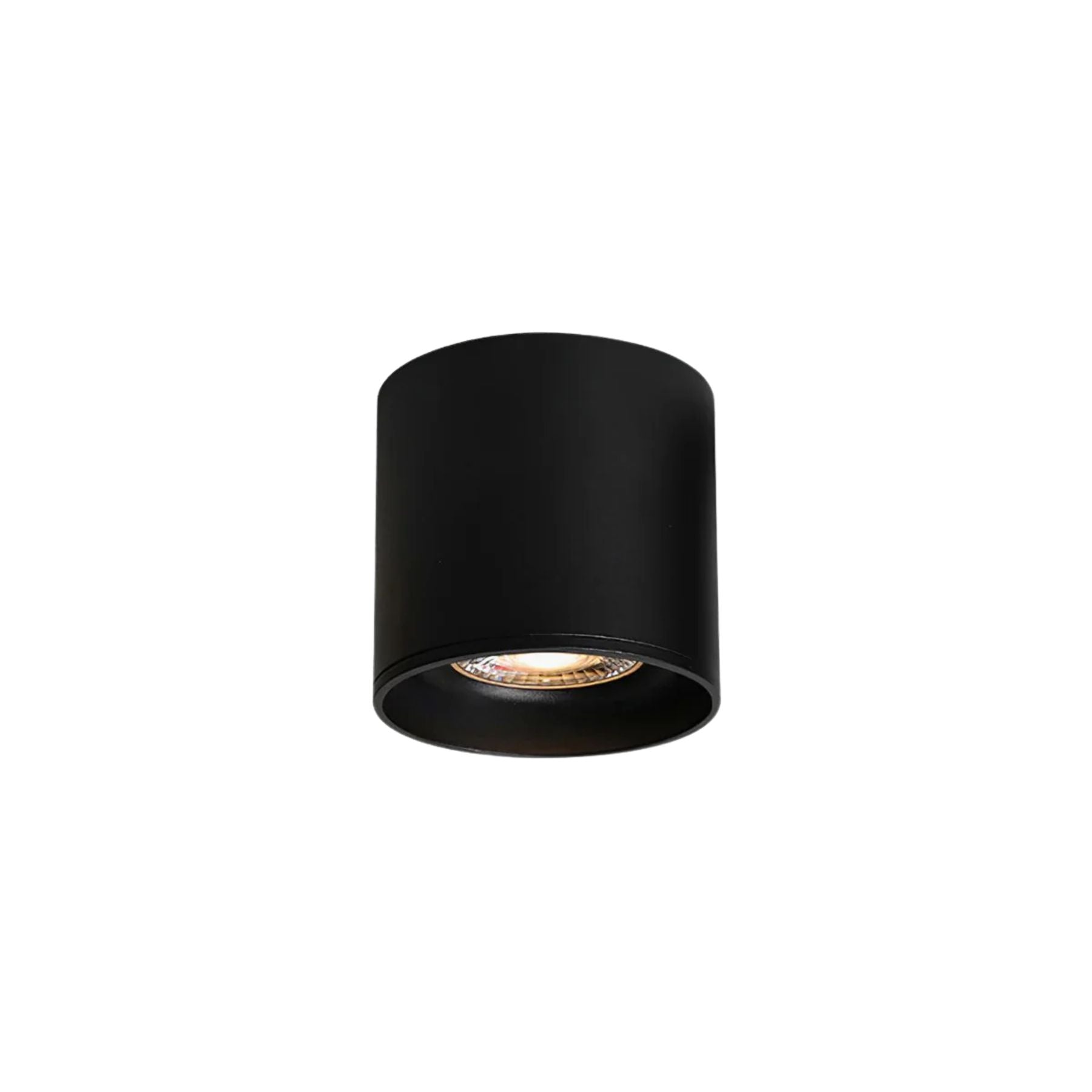 Lampada da soffitto Lenu – Metallo – Nero/Bianco – Ø 10 cm – Design moderno con tecnologia LED