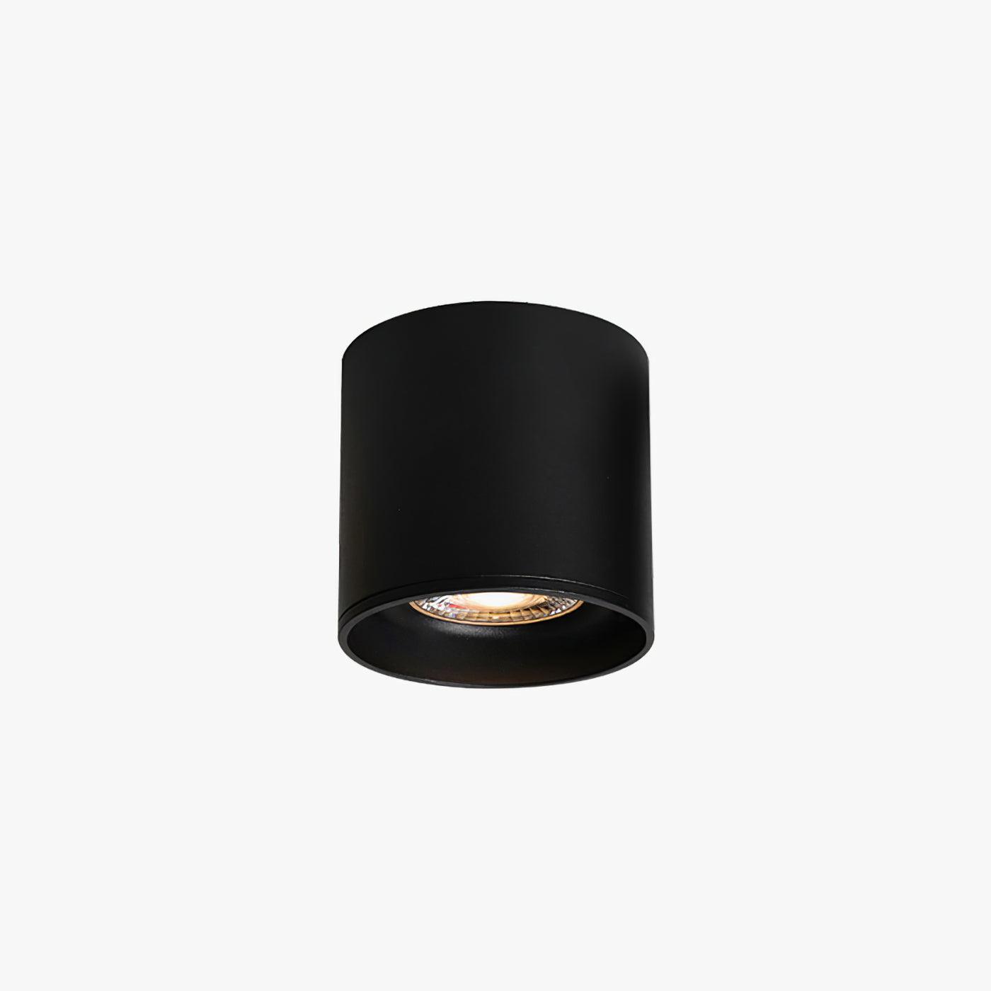 Lampada da soffitto Lenu – Metallo – Nero/Bianco – Ø 10 cm – Design moderno con tecnologia LED