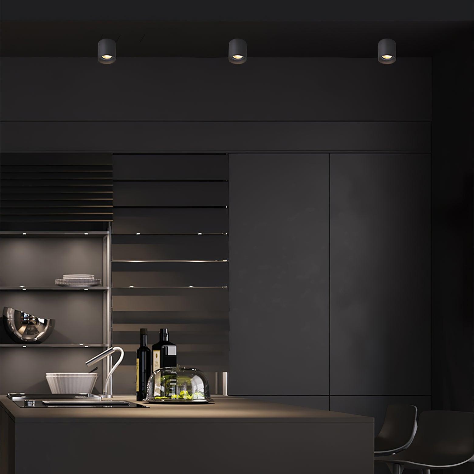 Lampada da soffitto Lenu – Metallo – Nero/Bianco – Ø 10 cm – Design moderno con tecnologia LED