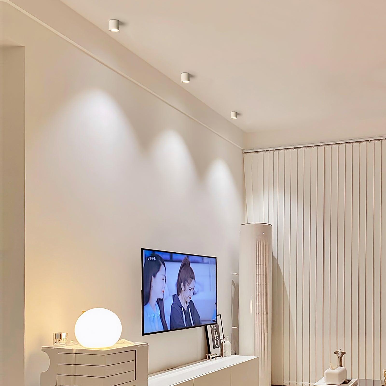 Lampada da soffitto Lenu – Metallo – Nero/Bianco – Ø 10 cm – Design moderno con tecnologia LED