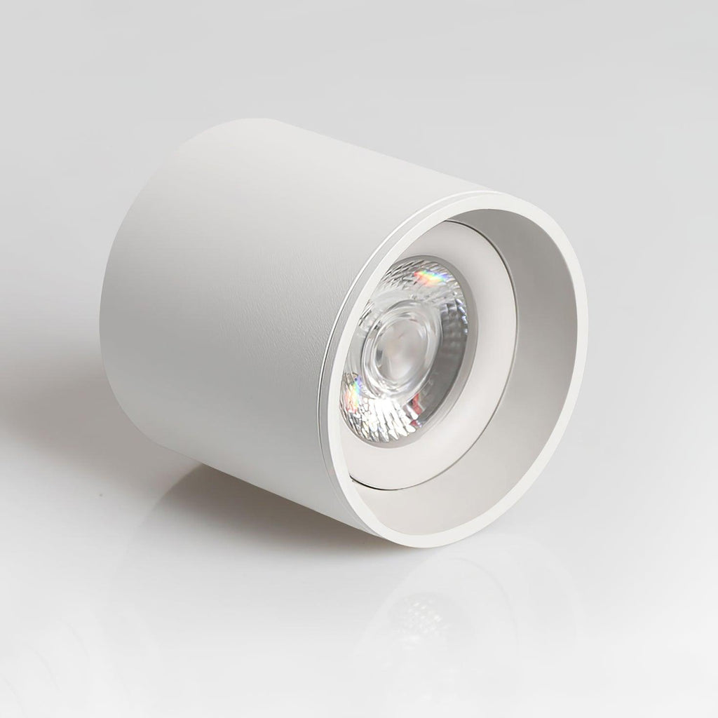 Lampada da soffitto Lenu – Metallo – Nero/Bianco – Ø 10 cm – Design moderno con tecnologia LED