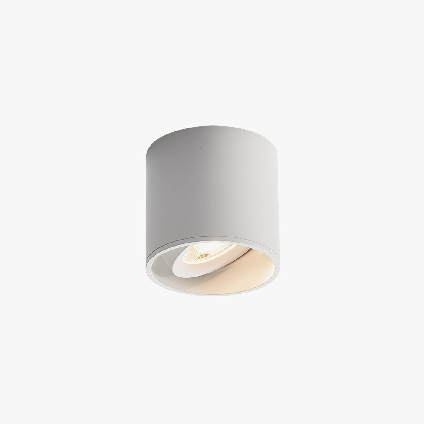 Lampada da soffitto Lenu – Metallo – Nero/Bianco – Ø 10 cm – Design moderno con tecnologia LED
