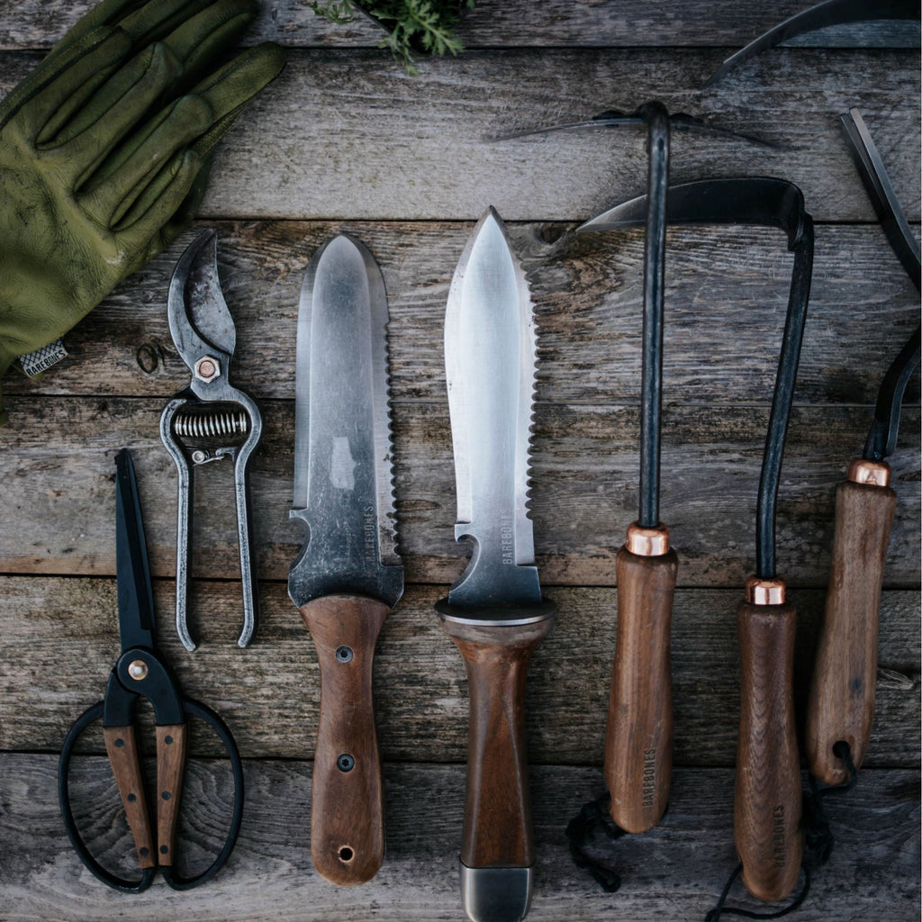 Coltello da Sopravvivenza TrailForge con Impugnatura Pro e Manico Ergonomico e Lama Robusta