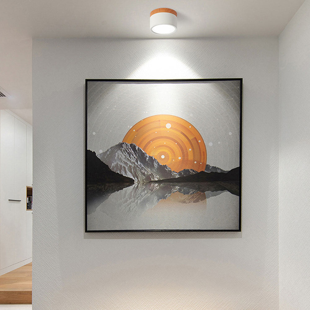 Lampada da soffitto moderna – Alluminio – Bianco – Ø 20 cm – Minimalista e a risparmio energetico