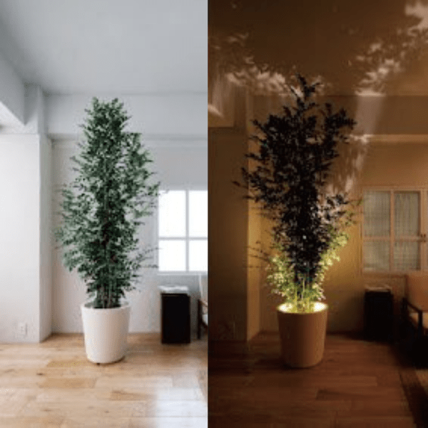 Lampada Proiettore Viva - Fonte di Luce LED - Design Compatto