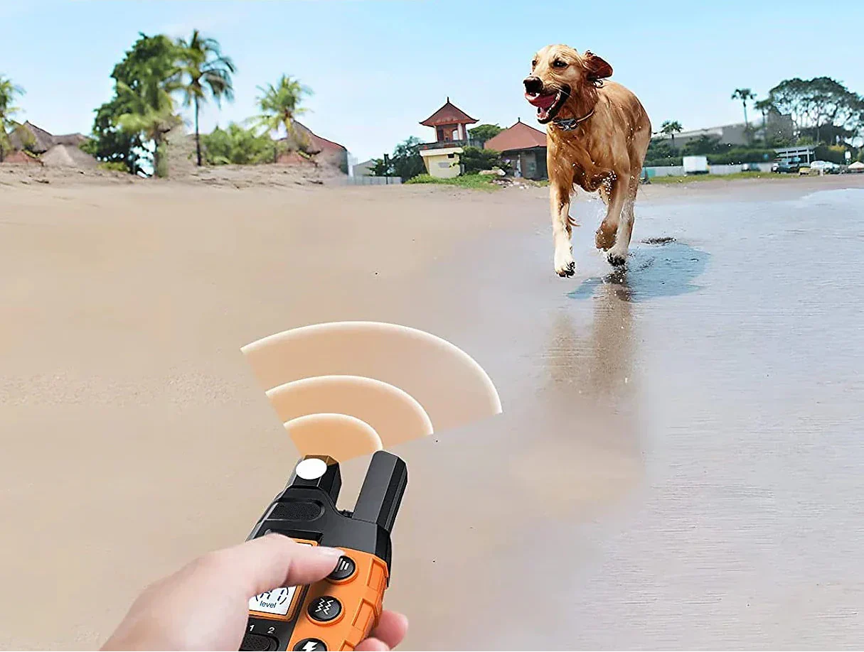 Collare per Addestramento Cani NovaPace con Portata Remota di 1000m Impermeabile