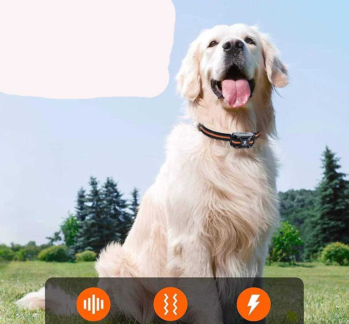 Collare per Addestramento Cani NovaPace con Portata Remota di 1000m Impermeabile