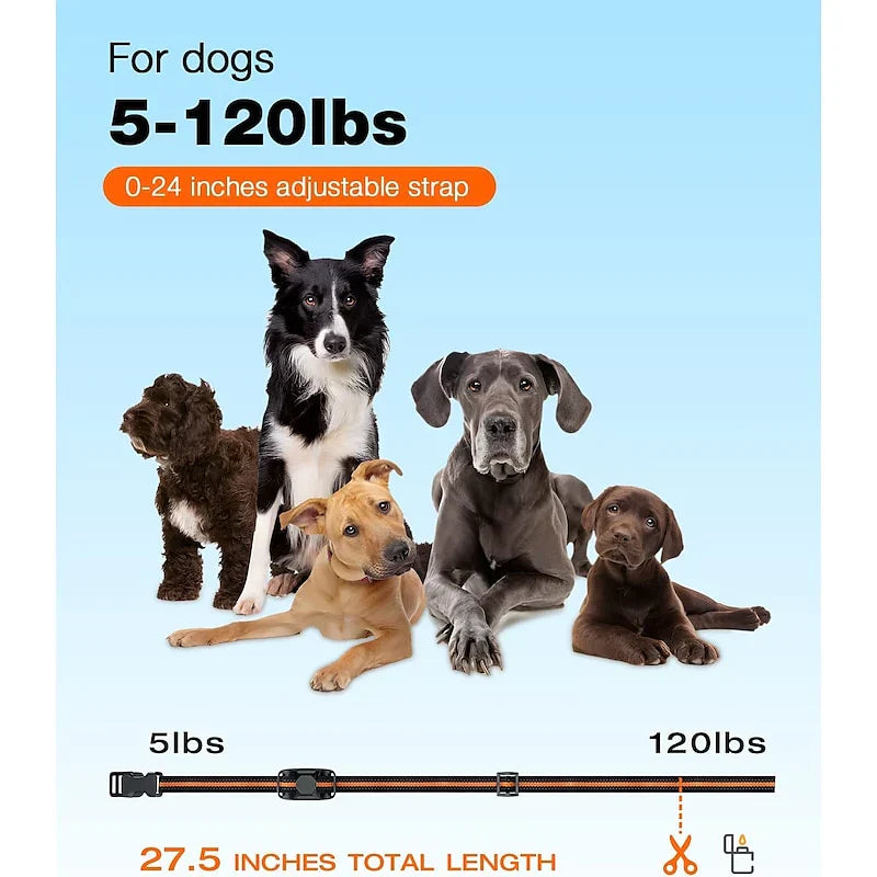 Collare per Addestramento Cani NovaPace con Portata Remota di 1000m Impermeabile