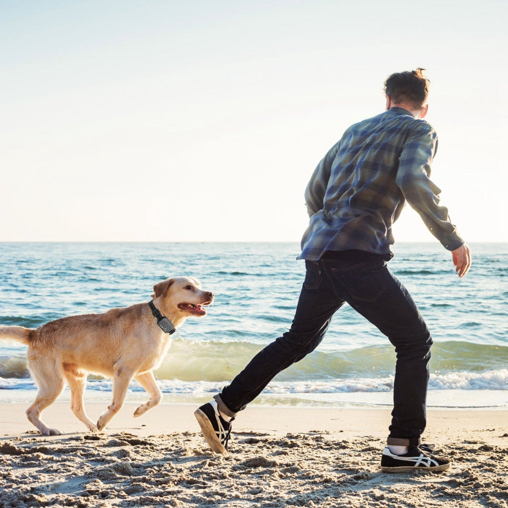 Recinzione Wireless per Cani AstraGuard GPS Pro con Confine da 30 a 1000 m