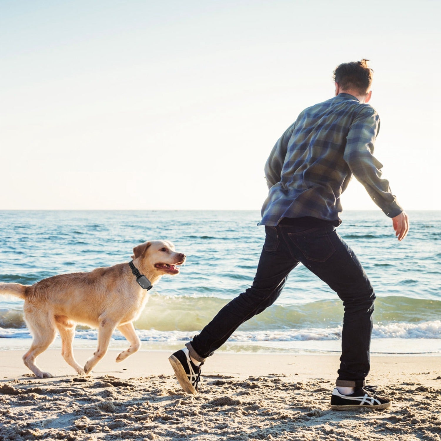 Recinzione Wireless per Cani AstraGuard GPS Pro con Confine da 30 a 1000 m