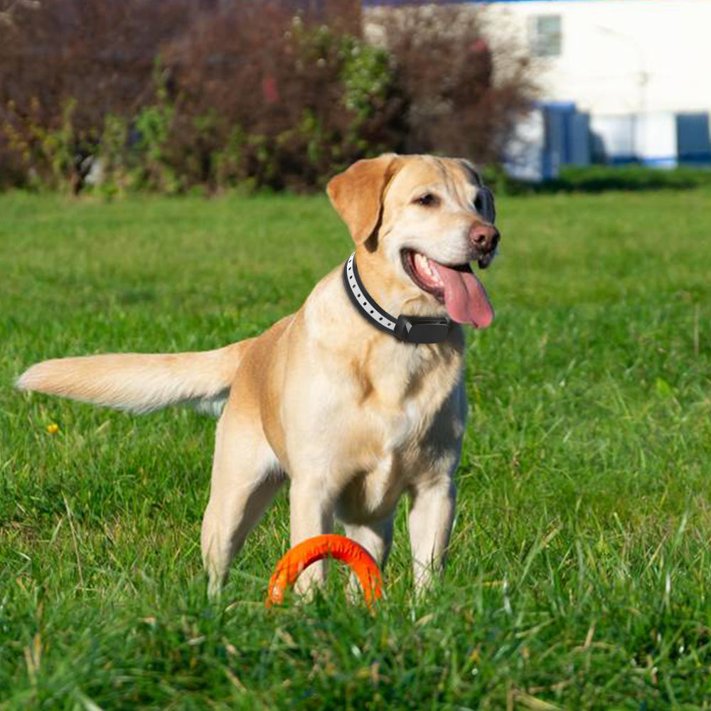 AeroPaw Pro Sistema di Contenimento Wireless per Cani per una Sicura Libertà nel Giardino