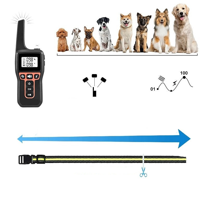 Collare da Addestramento Waterproof AquaStride Pro 1000m per Cani