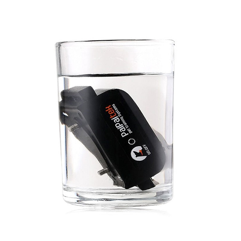 Collare da Addestramento Waterproof AquaStride Pro 1000m per Cani