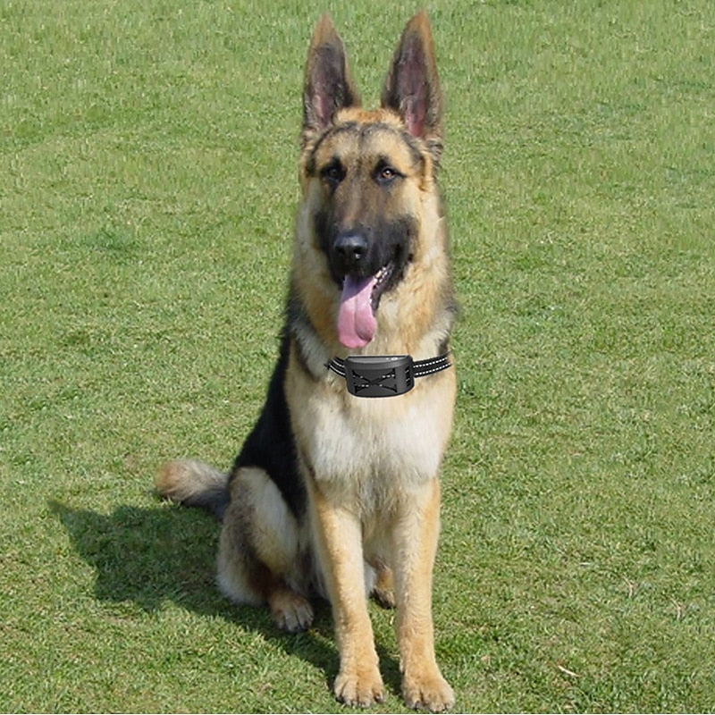 FidoFence Pro Sistema Avanzato di Recinzione Wireless per Cani con Collare, 9–240 Metri