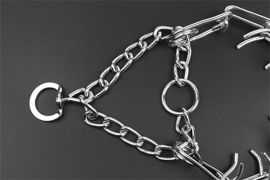 Collare per Cani Pincher - Stile B