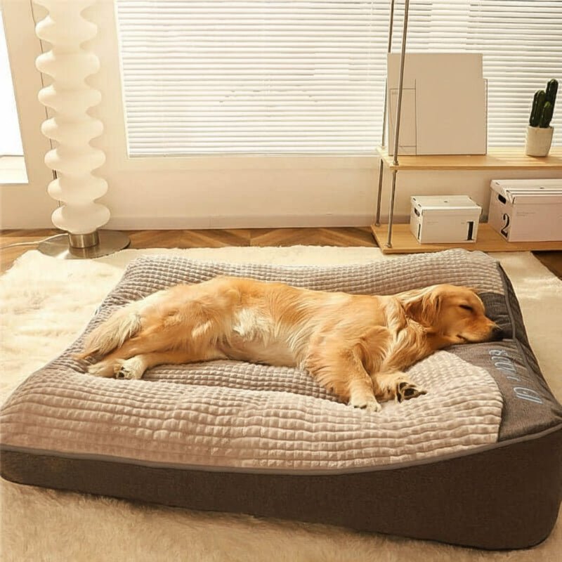 HUGBED – Grande letto per cani resistente ai graffi con supporto ortopedico per la colonna vertebrale
