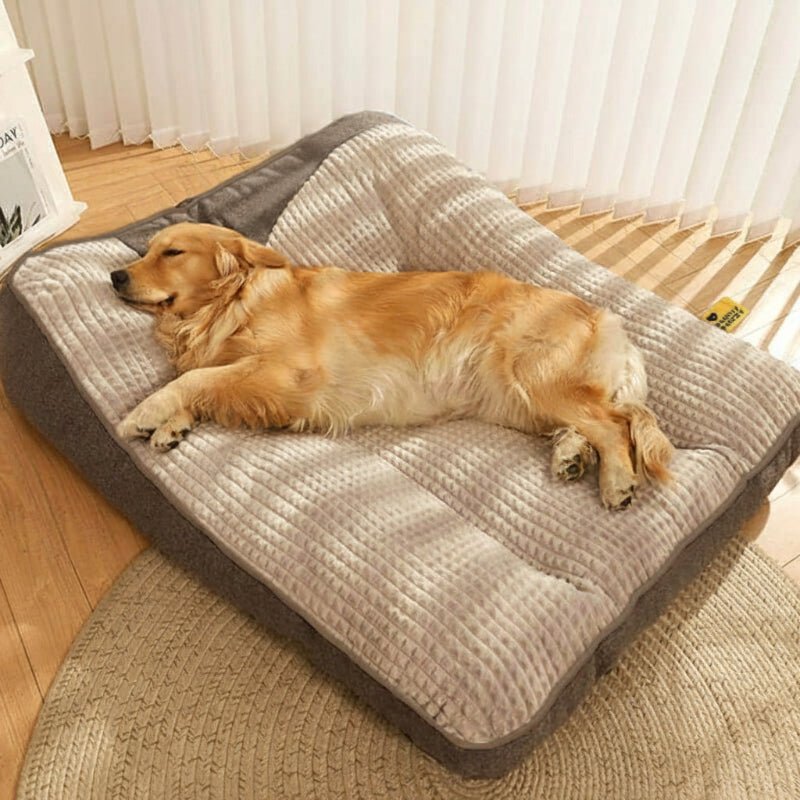 HUGBED – Grande letto per cani resistente ai graffi con supporto ortopedico per la colonna vertebrale
