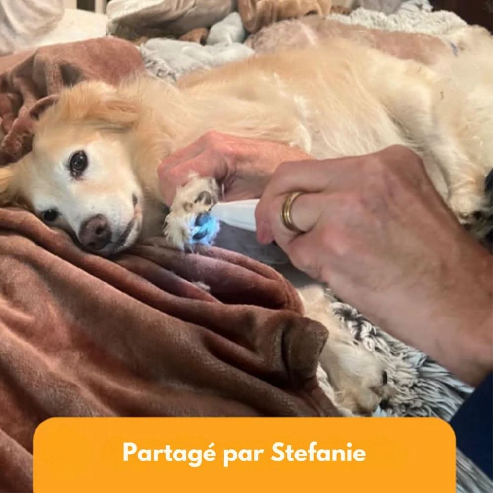 SilentPet Trimmer – Tagliacapelli silenzioso per aree sensibili di cani e gatti