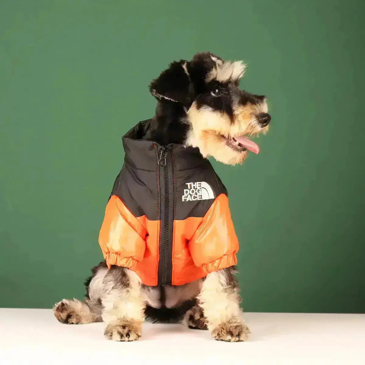 Sandsberg | Giacca invernale per cani | Foderata e antivento