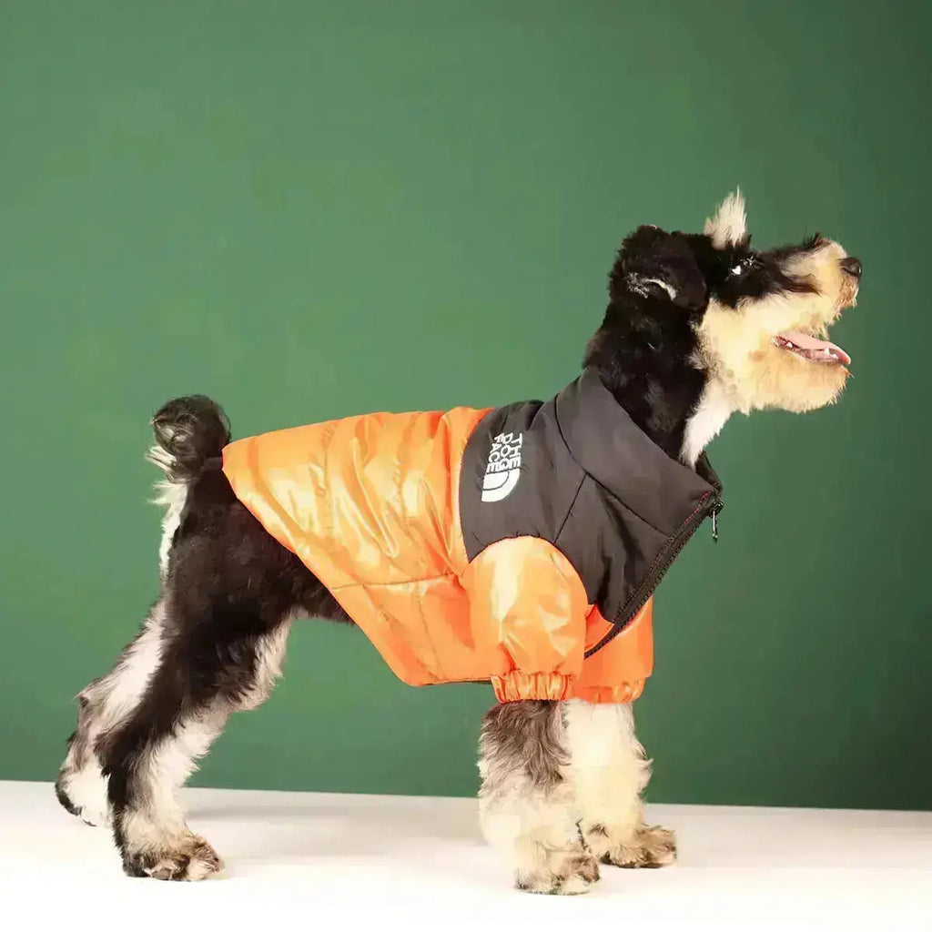 Sandsberg | Giacca invernale per cani | Foderata e antivento