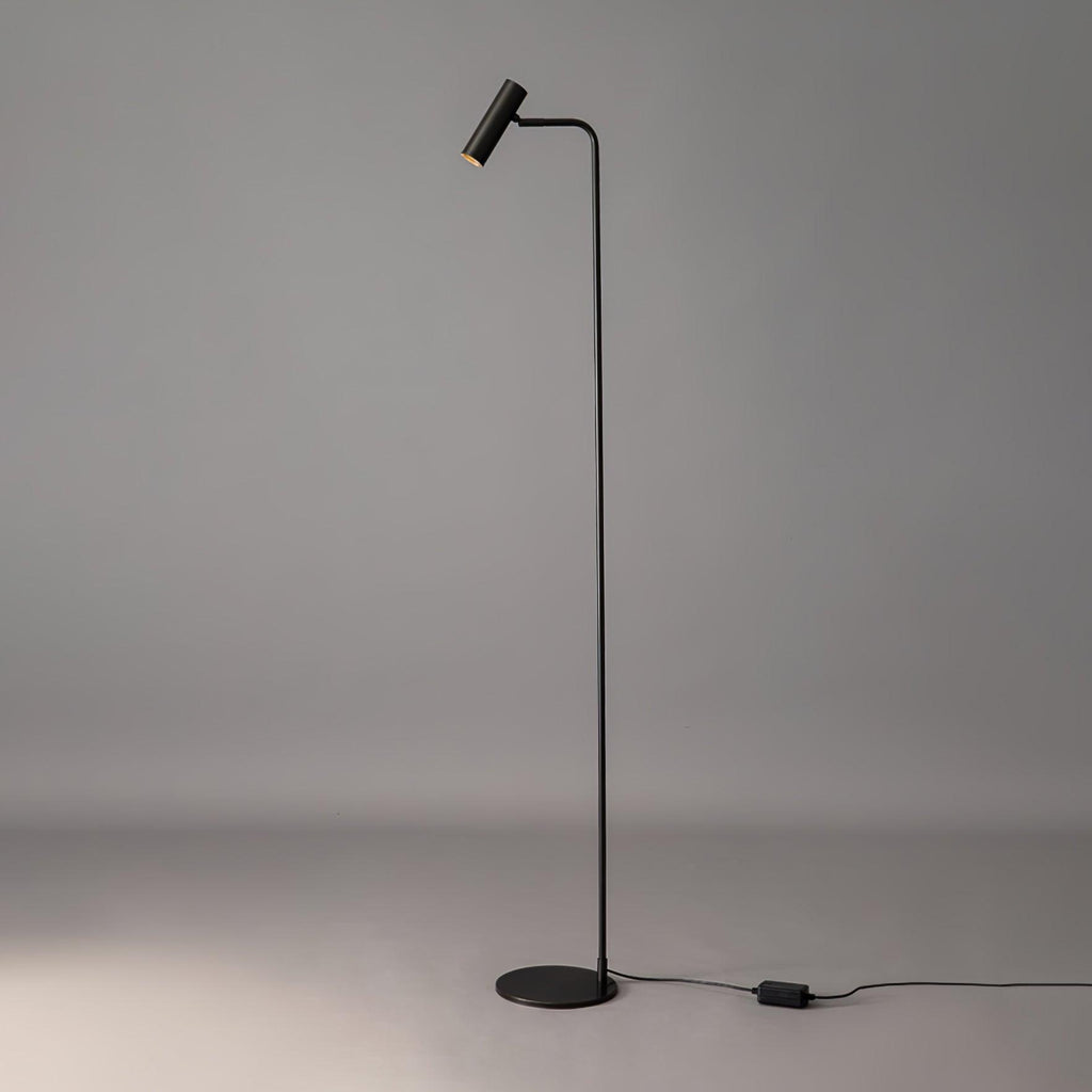Zelvano Lampada da Terra – Ottone – Oro – 160 cm – Minimalista & Regolabile, Ideale per il Soggiorno
