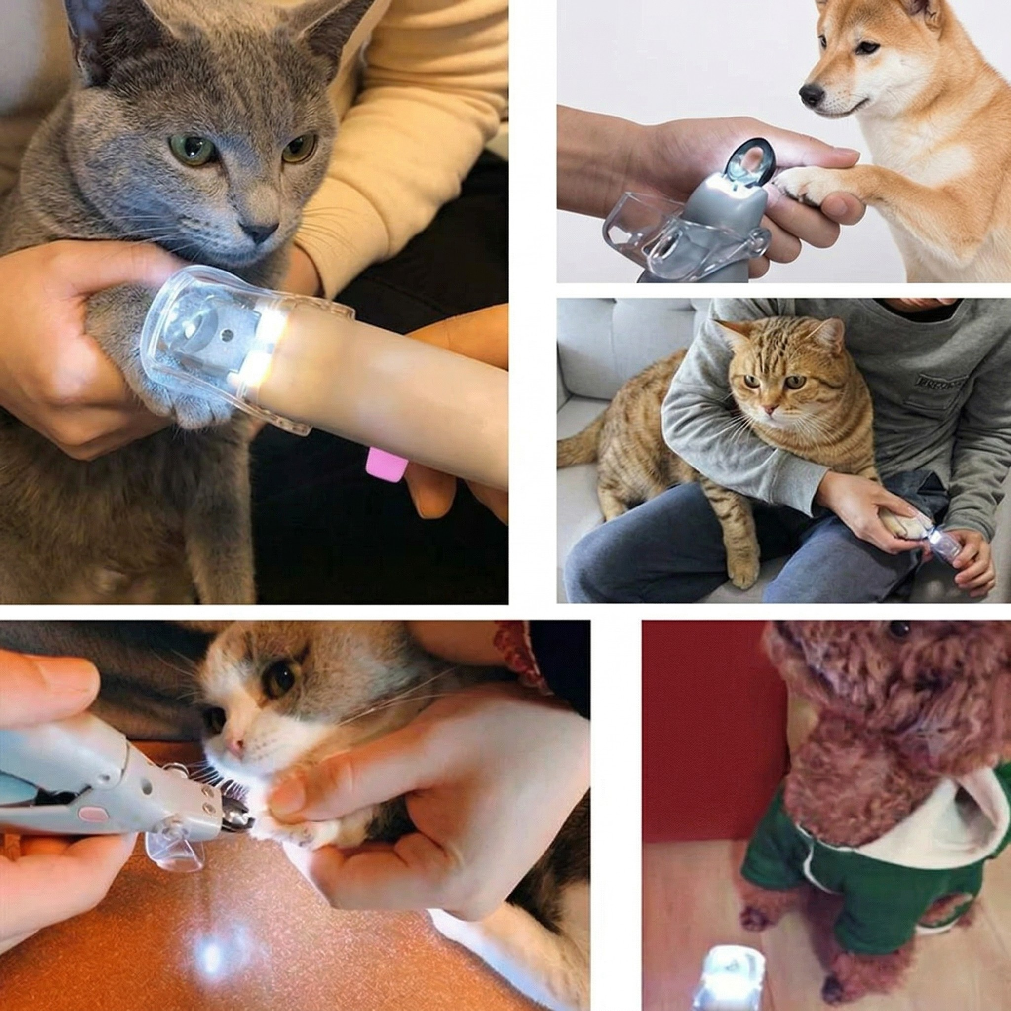 Taglia Unghie per Animali Domestici Strumento Grooming