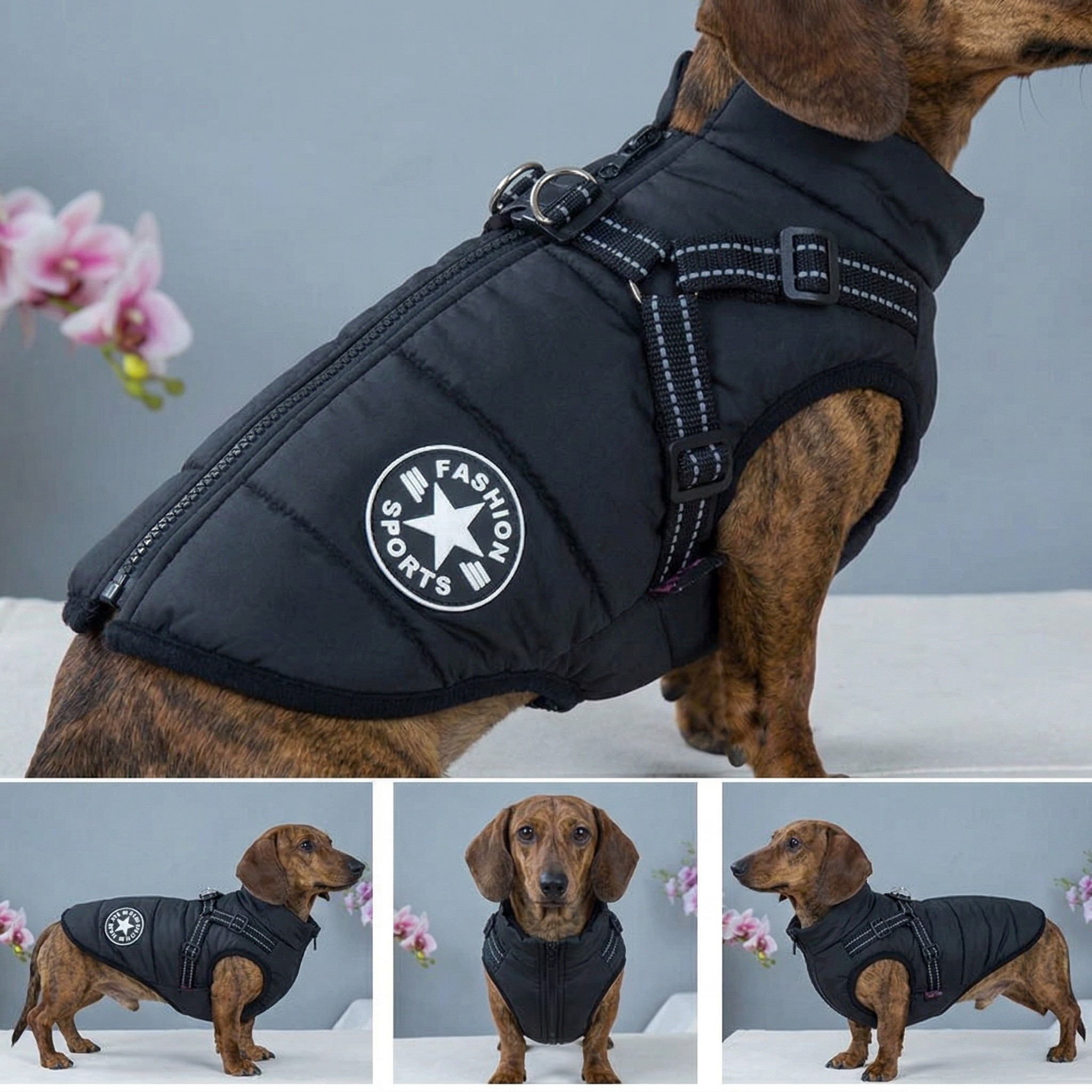 Giacca Impermeabile per Cani con Imbracatura Riflettente Regolabile per Tutte le Taglie