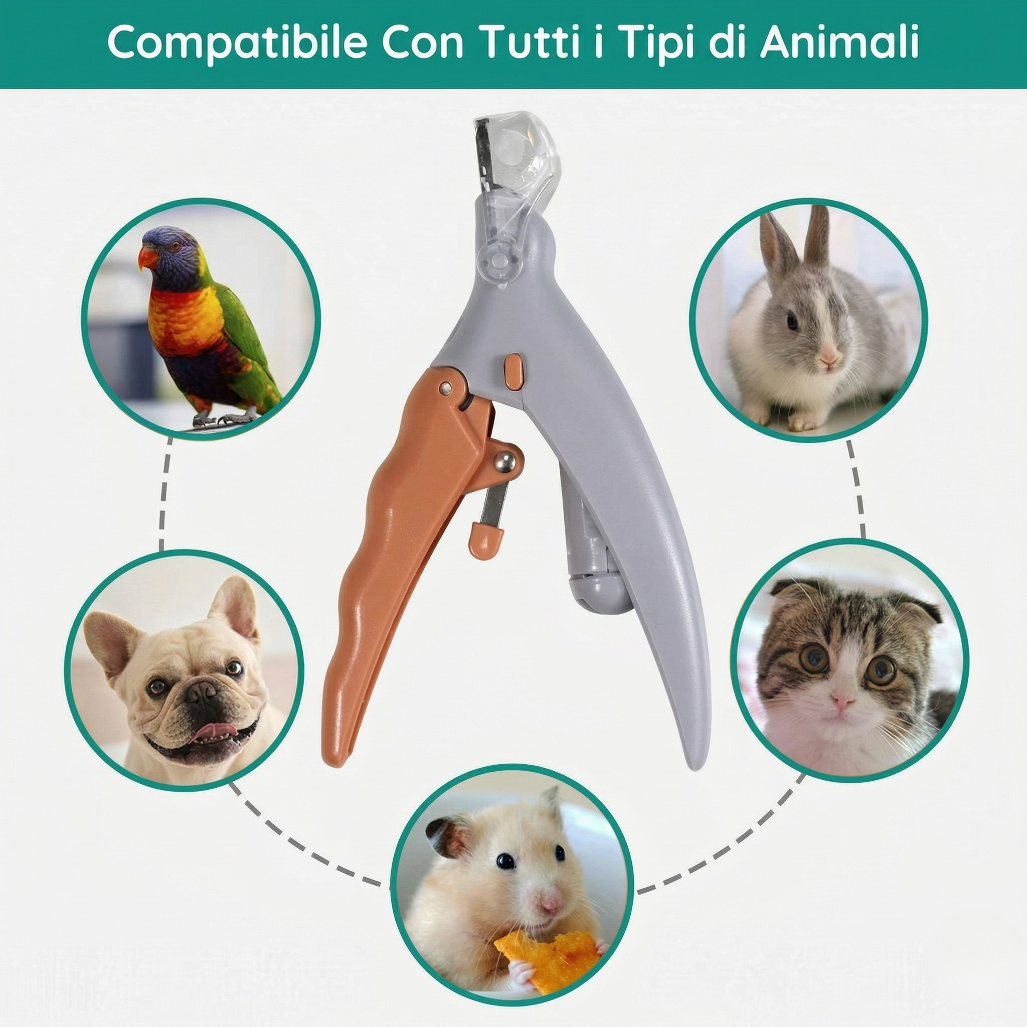 Taglia Unghie per Animali Domestici Strumento Grooming