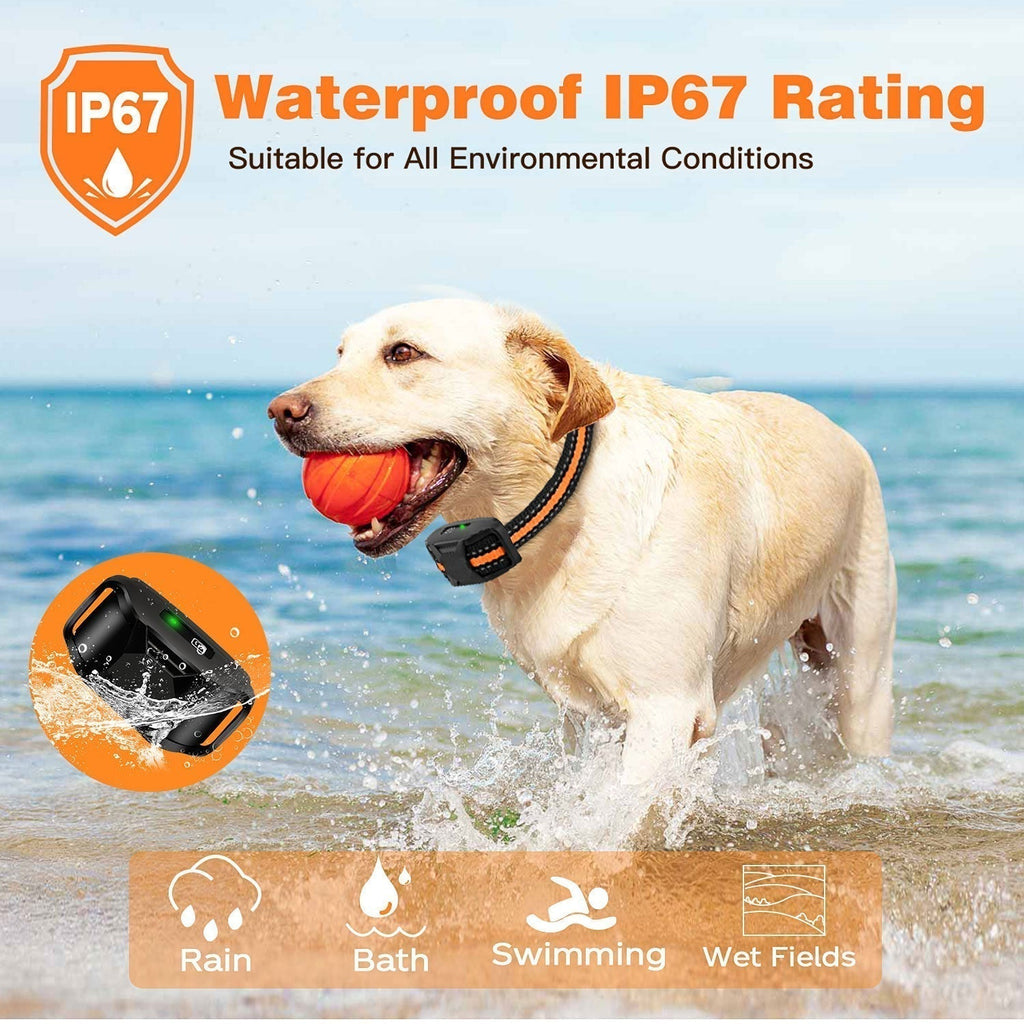 Collare di Addestramento Remoto Impermeabile HydraPaw Pro per Cani