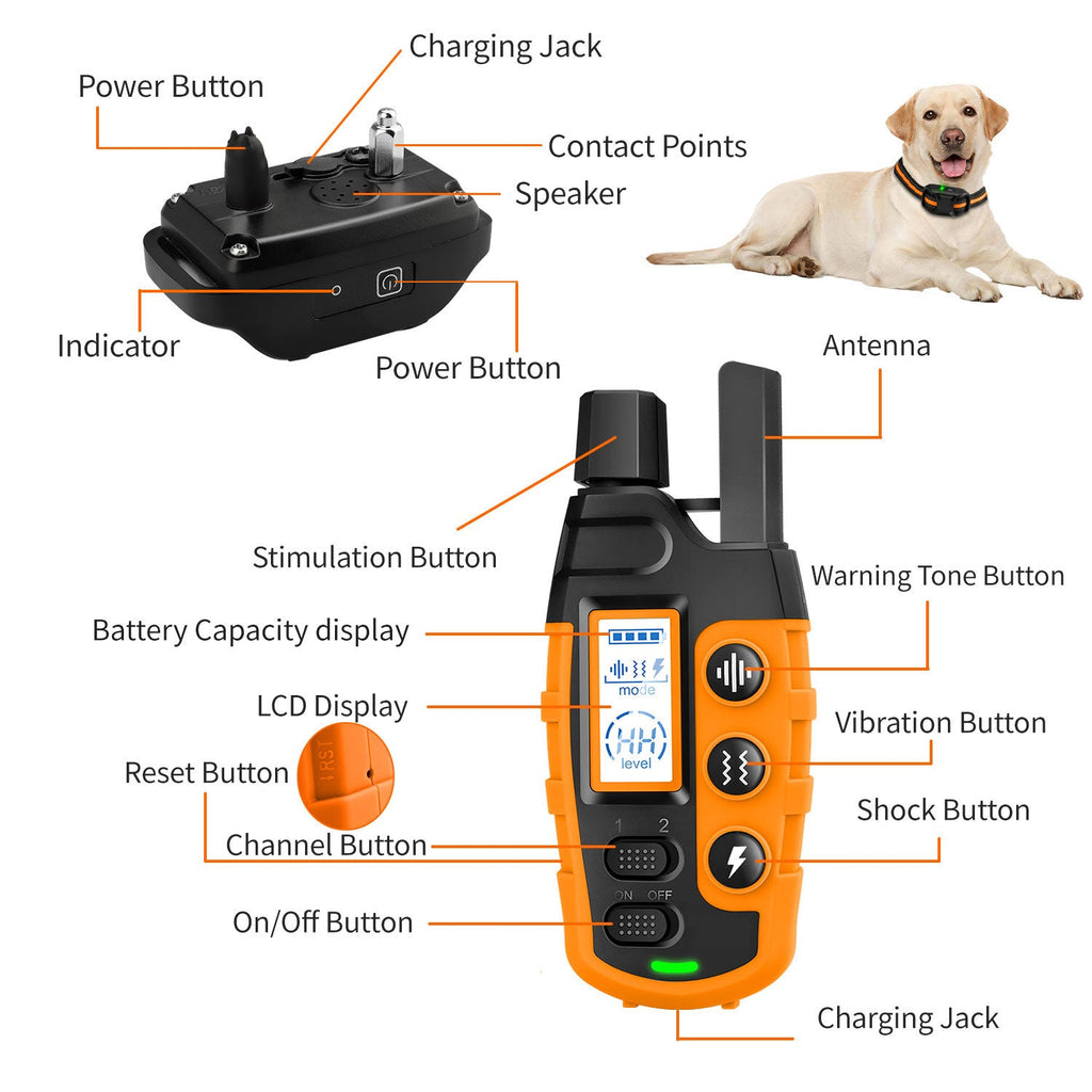 Collare di Addestramento Remoto Impermeabile HydraPaw Pro per Cani