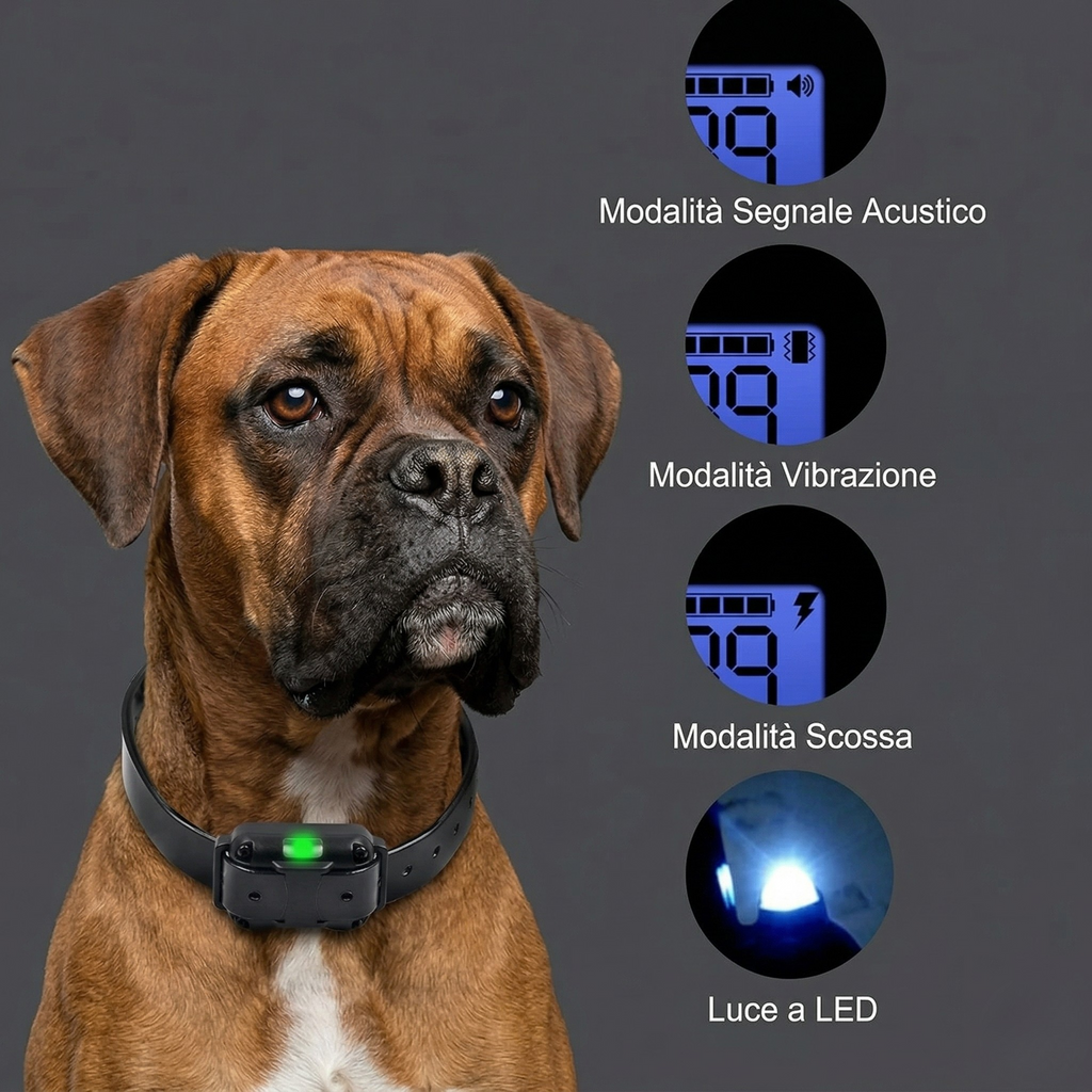 Collare Addestramento Cani Telecomando Regolabile Impermeabile
