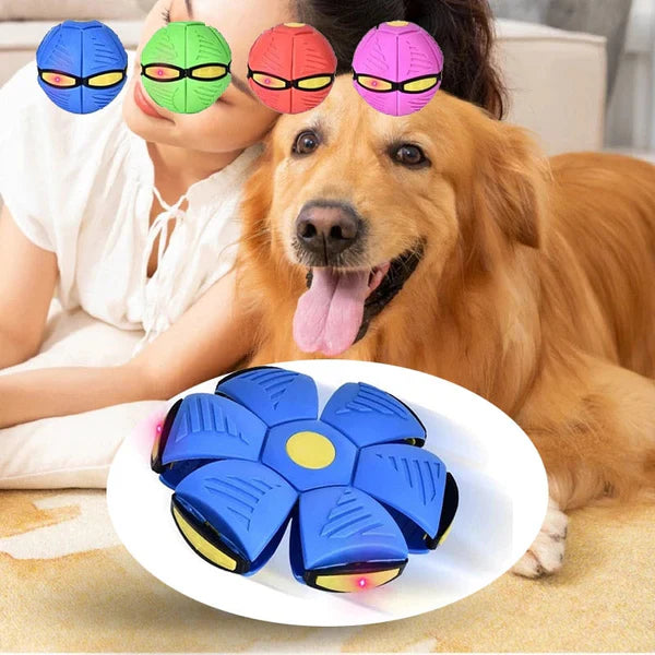 Giocattolo per cani | Giocattolo per cani indistruttibile 2-in-1 | FlitzDisc
