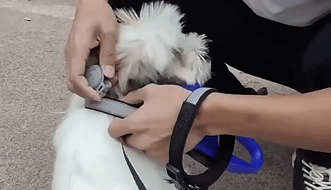 Localizzatore GPS per Cani NovaTrail Pro Plus e Tracker di Attività