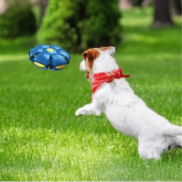 Giocattolo per cani | Giocattolo per cani indistruttibile 2-in-1 | FlitzDisc