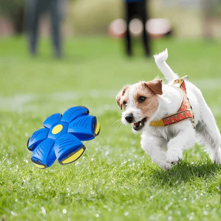 Giocattolo per cani | Giocattolo per cani indistruttibile 2-in-1 | FlitzDisc