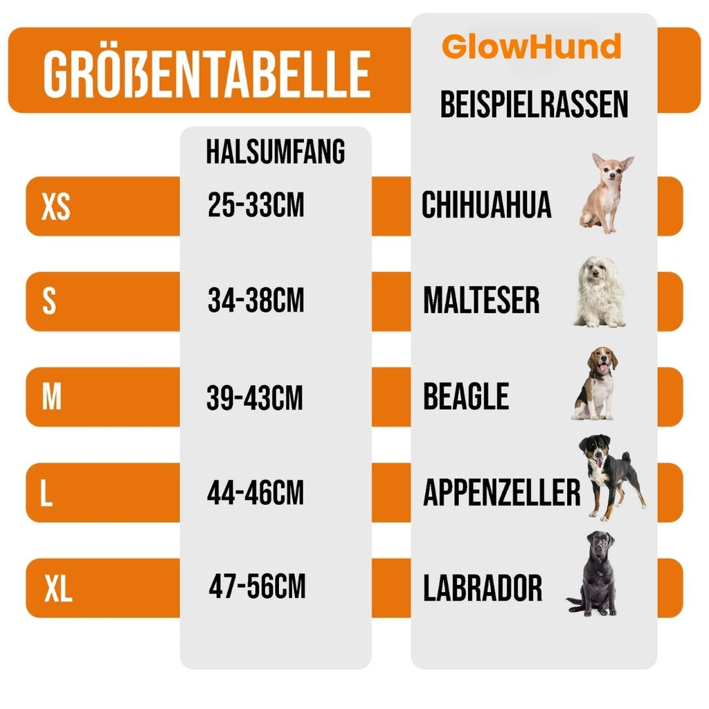 Collare luminoso per cani | Collare LED per cani | GlowHund