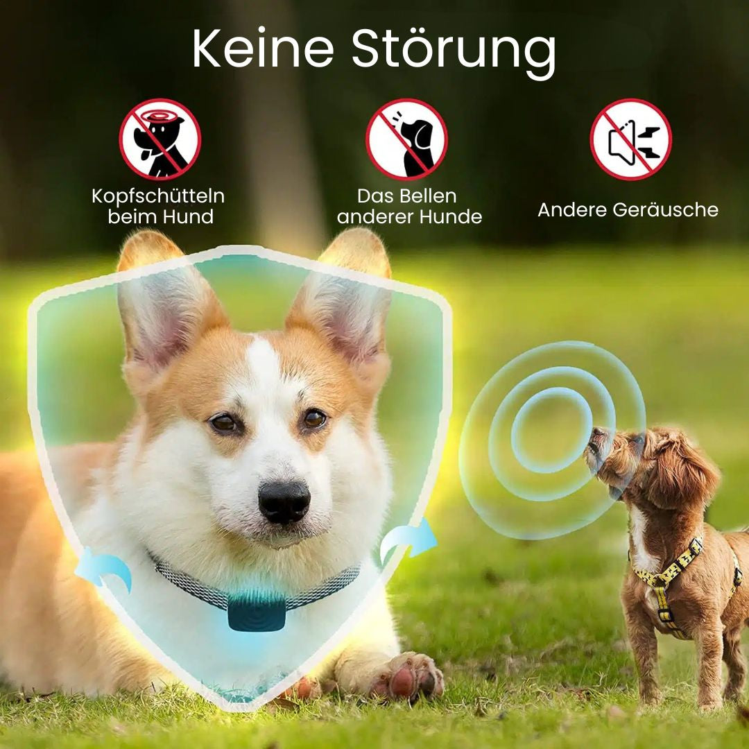 Collare per Cani | Collare Antibark per Cani | BellFrei