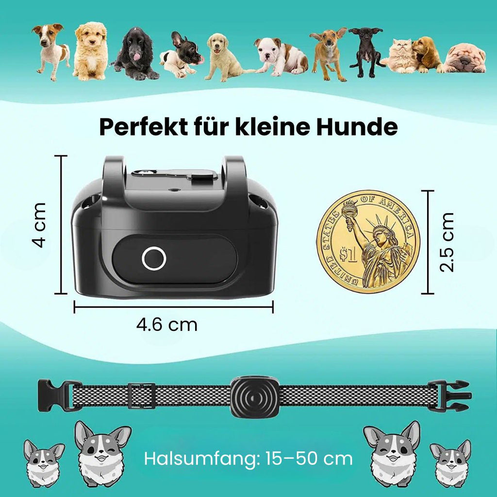 Collare per Cani | Collare Antibark per Cani | BellFrei