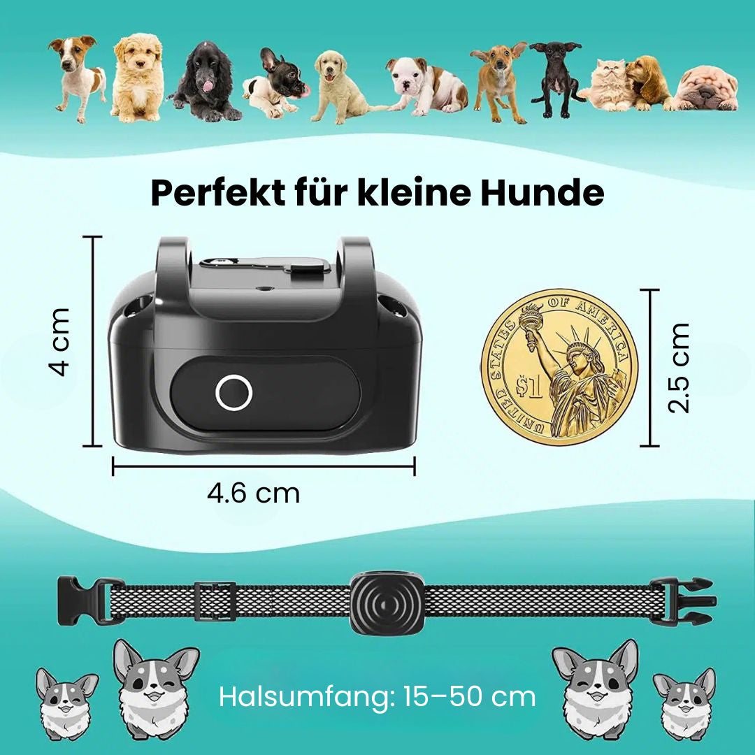 Collare per Cani | Collare Antibark per Cani | BellFrei