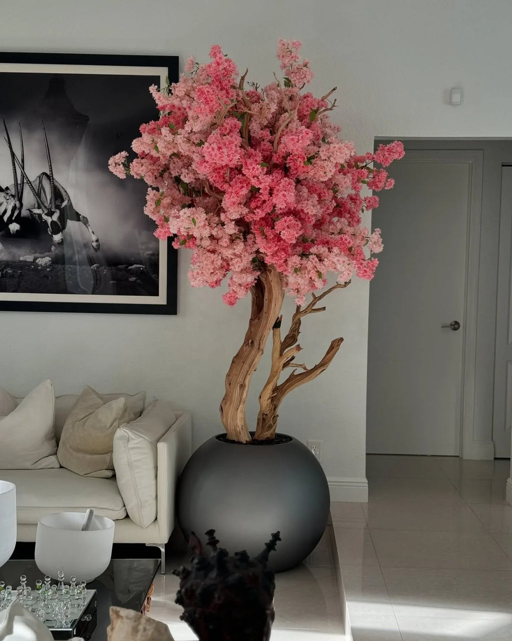 Albero di Ciliegio in Fiore con Globo Opaco