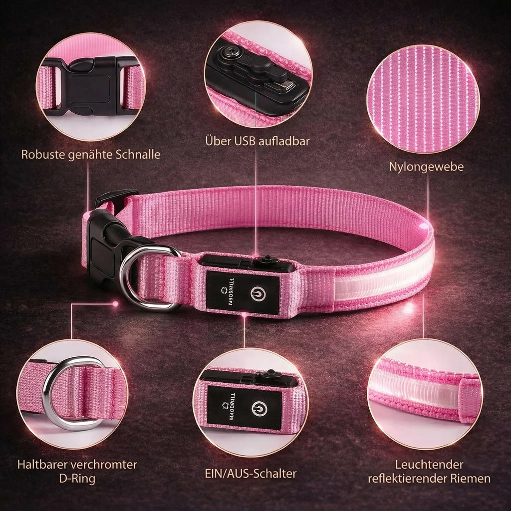Collare luminoso per cani | Collare LED per cani | GlowHund