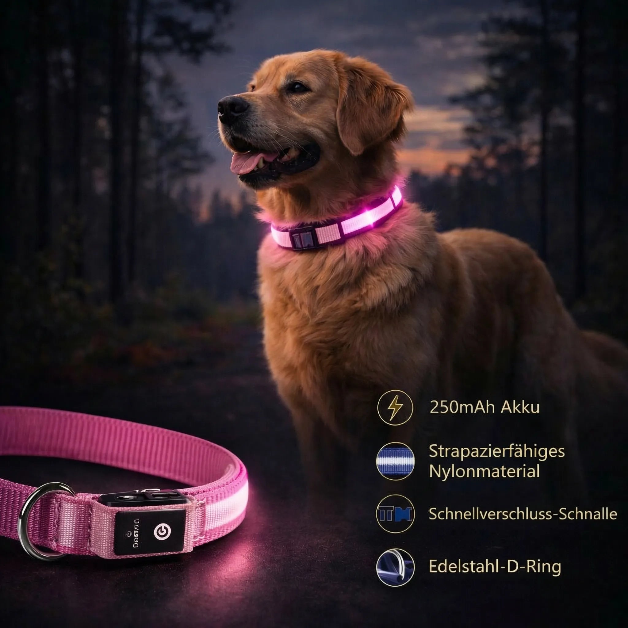 Collare luminoso per cani | Collare LED per cani | GlowHund