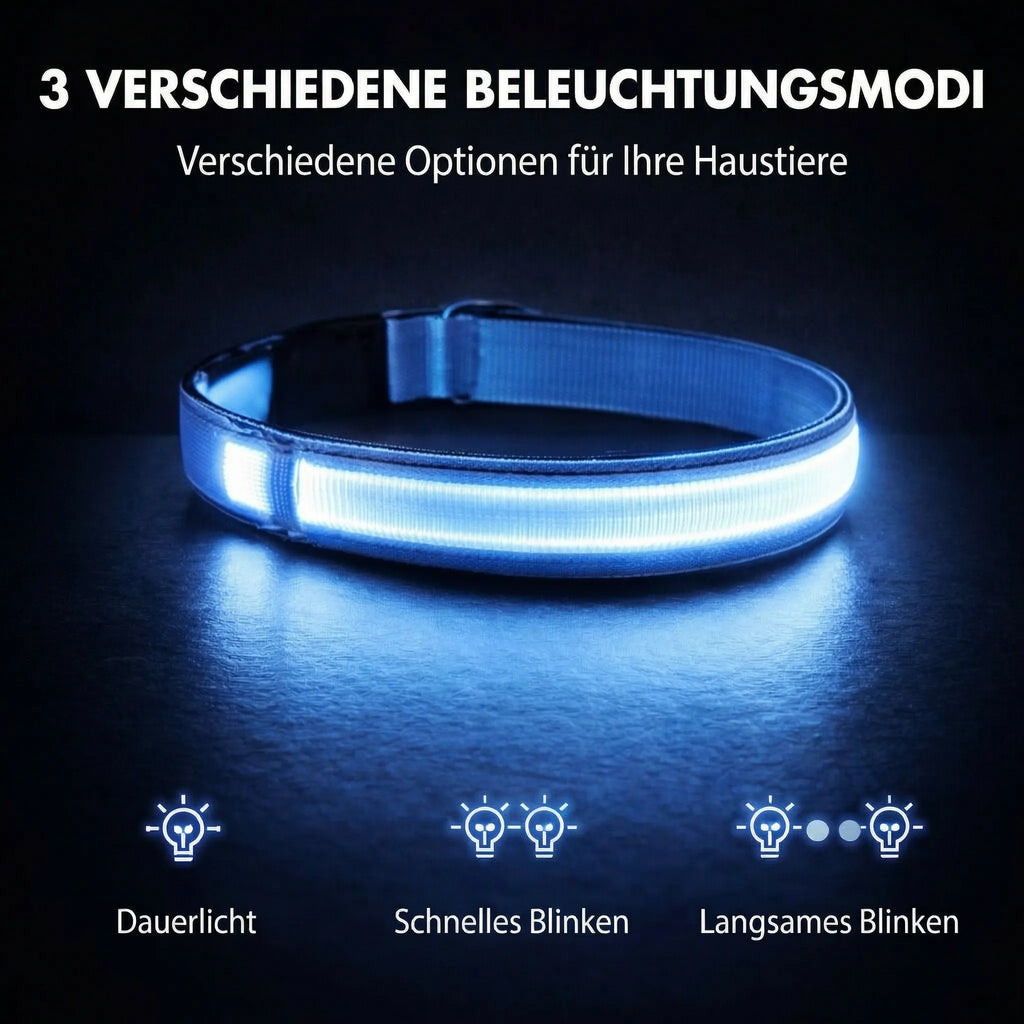 Collare luminoso per cani | Collare LED per cani | GlowHund
