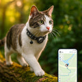 Collare per gatti con GPS e campanella | MiauTrack