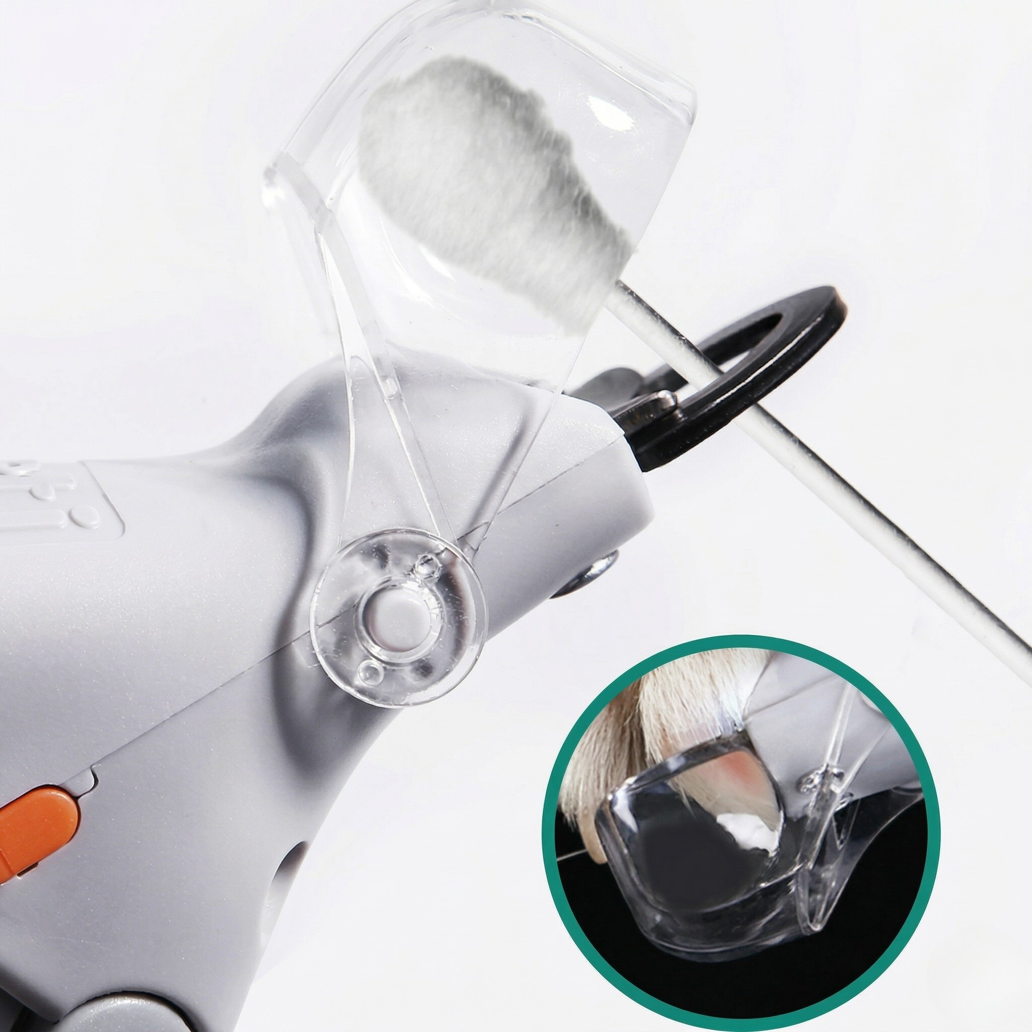 Taglia Unghie per Animali Domestici Strumento Grooming
